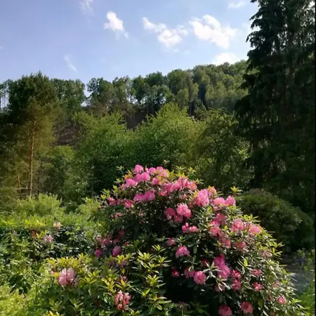 Ferienwohnung Fuer Naturfreunde Rathmannsdorf Exterior foto