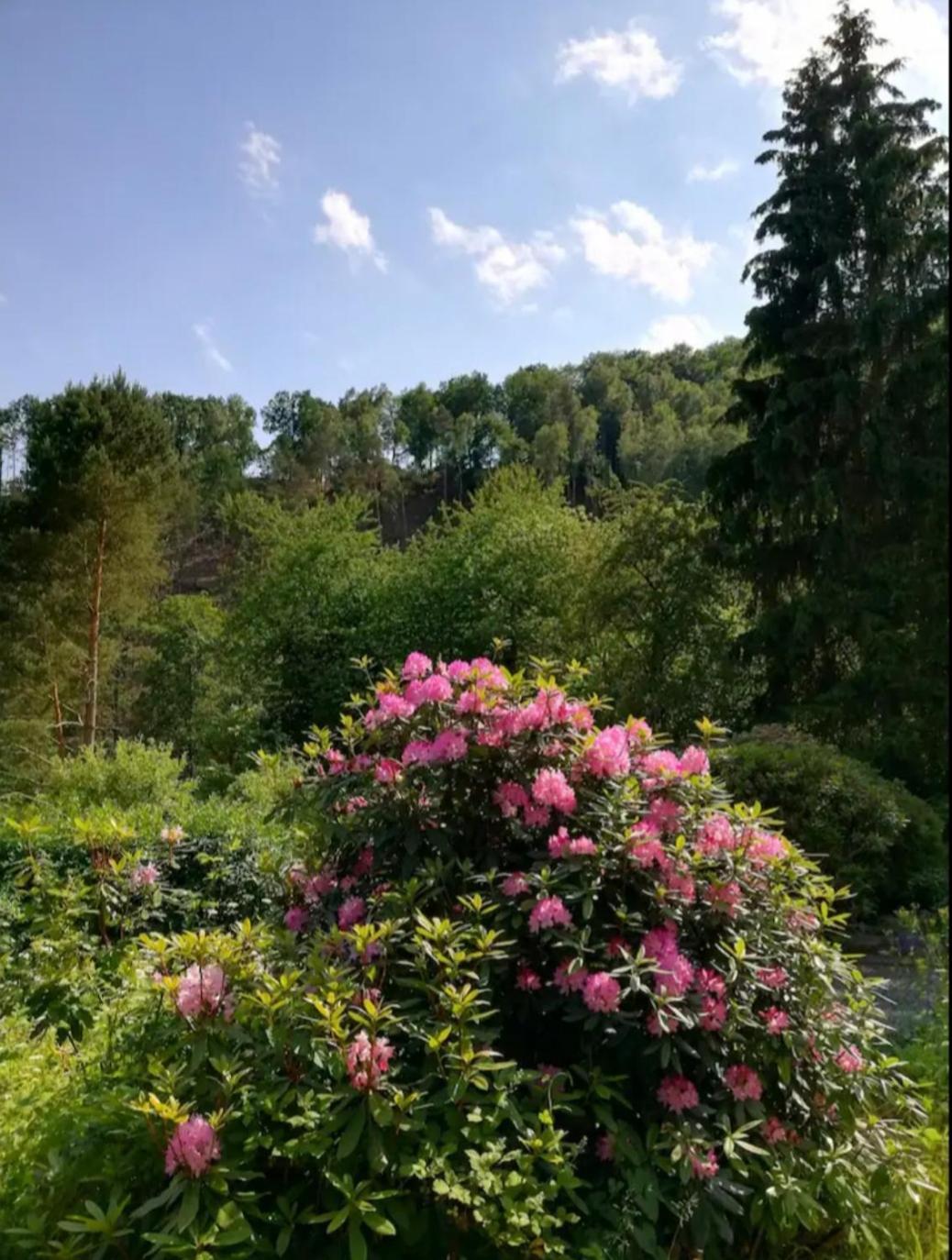 Apartment Fuer Naturfreunde Rathmannsdorf